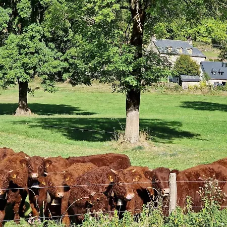 Charmante Maison Salers Cantal Hébergement de vacances *