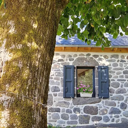 Hébergement de vacances Charmante Maison Salers Cantal Saint-Projet-de-Salers
